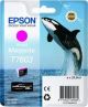 T7603 Vivid Magenta
